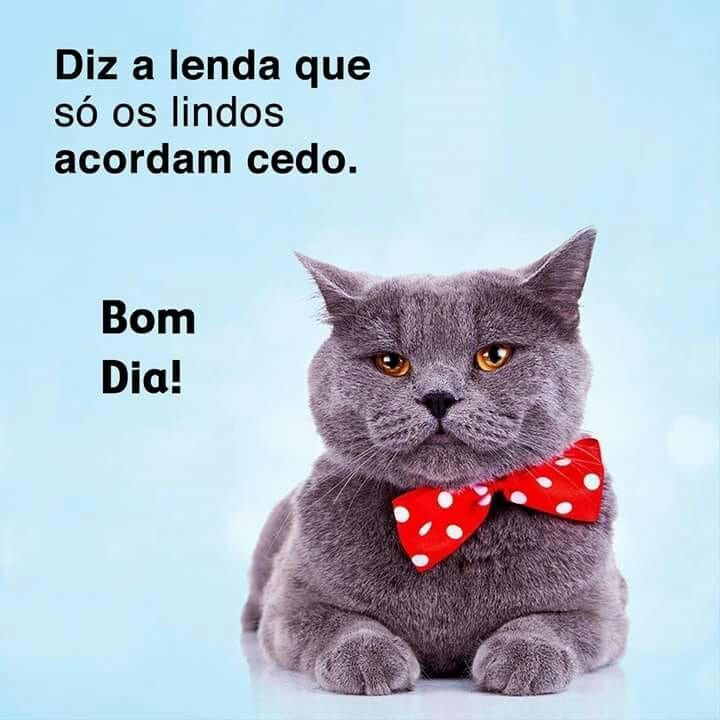 Bom dia diz a lenda.