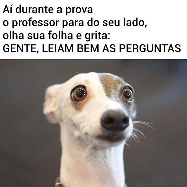 Leiam bem as perguntas.