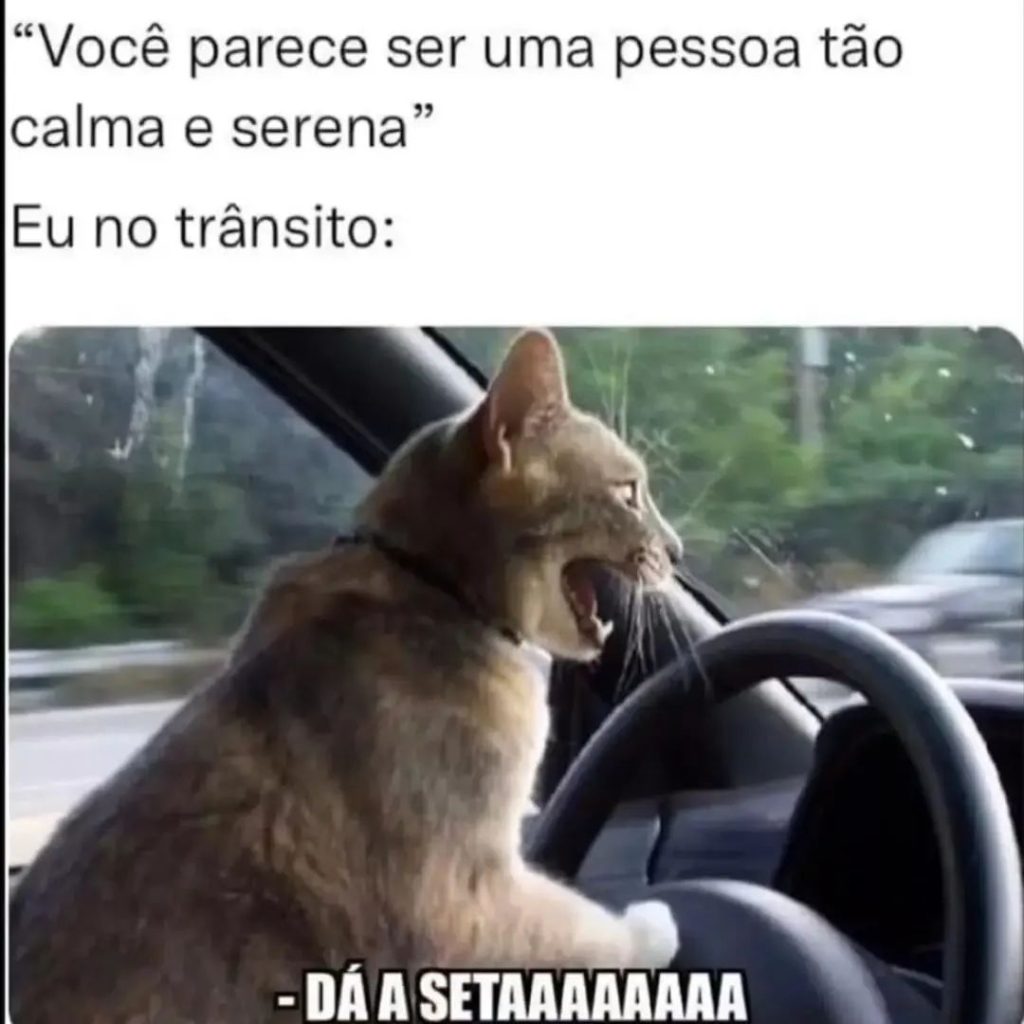 calma e serena