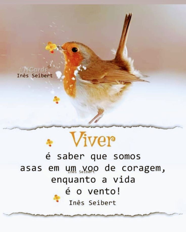 Que tenhamos coragem para seguir sempre adiante com a vida