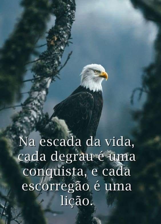 escada da vida