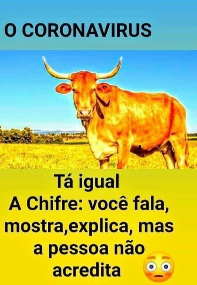 tá igual a chifre