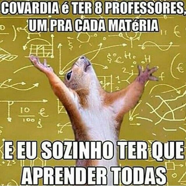 cada matéria