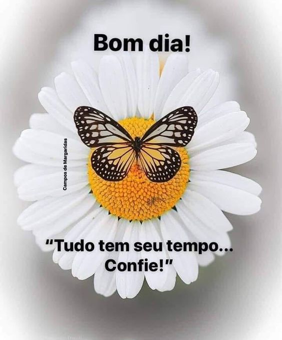 Tudo tem o seu tempo, confie e tenha um bom dia