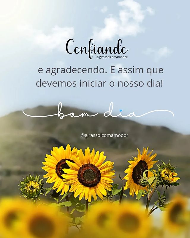 Bom dia confiando e agradecendo