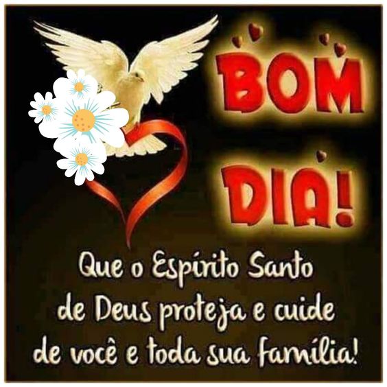 Que o Espirito Santo de Deus proteja e cuide de você e sua família nesta manhã