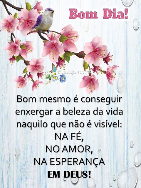 Bom dia, enxergue a beleza da vida naquilo que não é visível