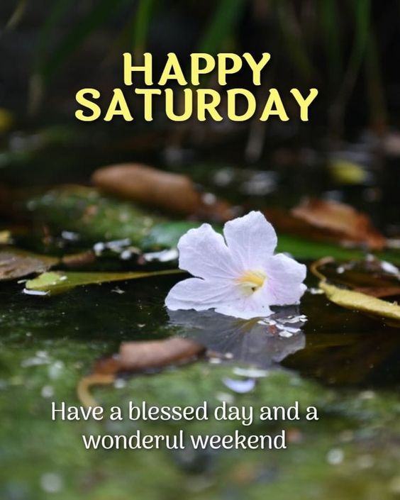 Happy Blessed Saturday: Images with beautiful quotes to share