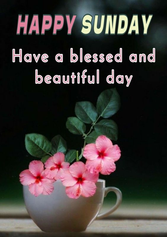 Happy Sunday Images with flowers and fantastic quotes