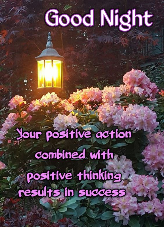 30 Good night messages with flowers in the best images