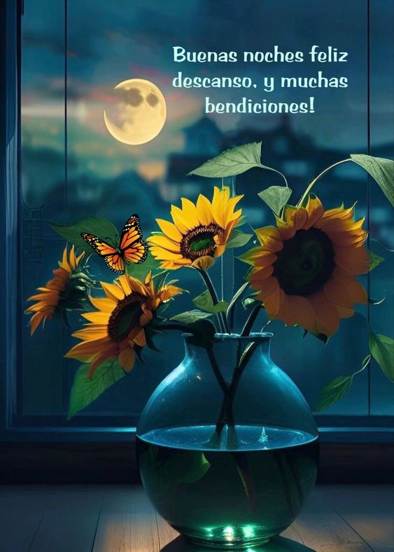60 Imagenes y mensajes de buenas noches con lindos gifs